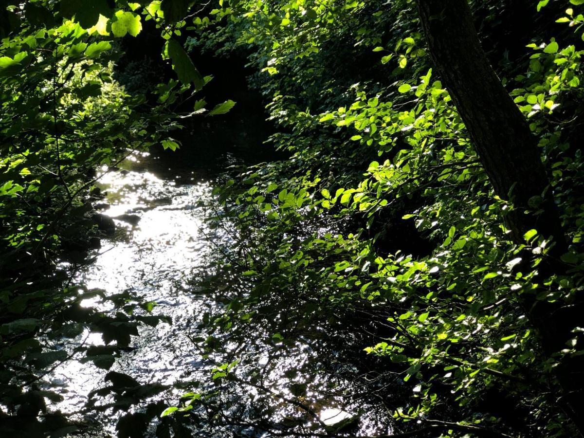 Otter Lodge Auchterarder Bagian luar foto